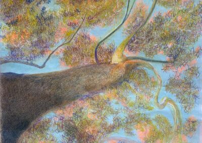 Ascension 24x18 Mixed Media (colored pencil, ink, and /watercolor)